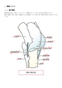 1．膝痛について - 膝の痛み治療法