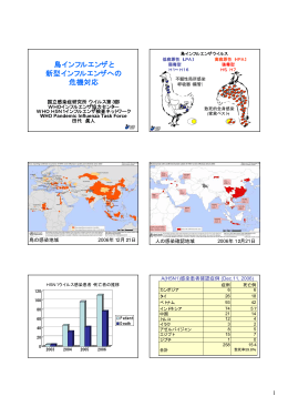 鳥インフルエンザと 新型インフルエンザへの 危機対応