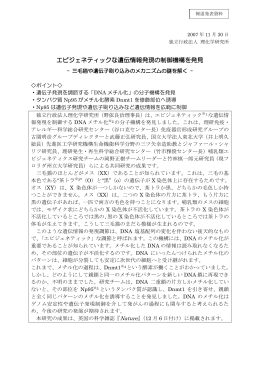 エピジェネティックな遺伝情報発現の制御機構を発見