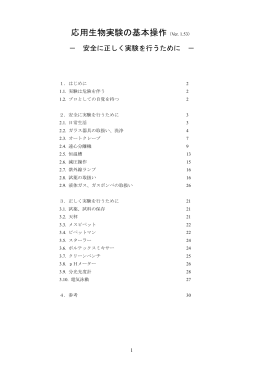 日本語版(PDF