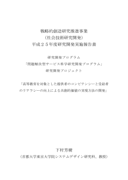 平成25年度研究開発実施報告書 下村芳樹