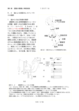 第9章 運動の機構と神経制御