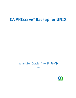 PDF のダウンロード - CA Technologies