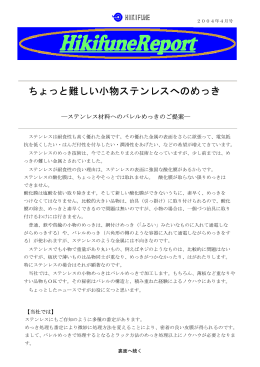ちょっと難しい小物ステンレスへのめっき