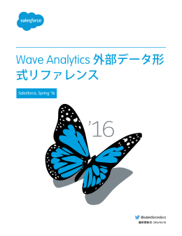 Wave Analytics 外部データ形式リファレンス