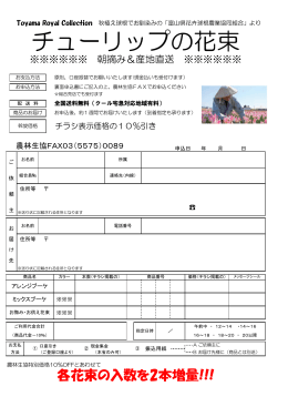 チューリップの花束