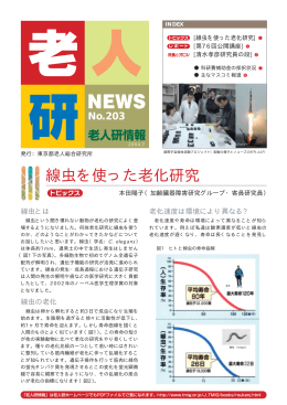 No.203 平成16年 7月発行(pdf 385KB)