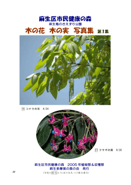 木の花 木の実 写真集