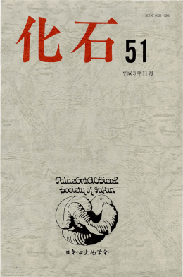 第51号（1991年11月）