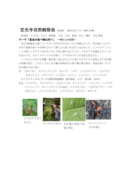 テーマ「昆虫の食べ物は何？」 －草むらの世界－