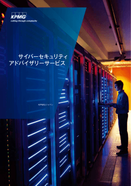 サイバーセキュリティ アドバイザリーサービス