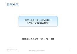こちら - SKYLEY NETWORKS｜スカイリー・ネットワークス