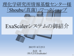 ExaScalerシステムの紹介