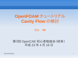 OpenFOAM チュートリアル Cavity Flow の検討