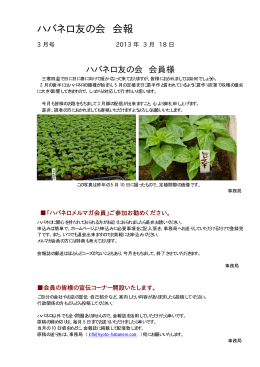 児嶋きよみ(Office Com junko主宰) 2013年2月 Global
