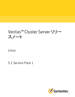 Veritas™ Cluster Server リリースノート: Linux