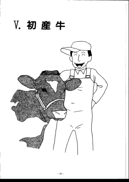 5．初産牛
